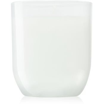 Paddywax Enneagram Peacemaker (Sage & Lavender) lumânare parfumată