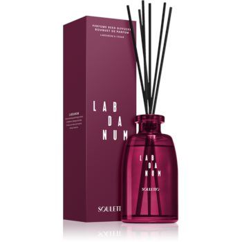 Souletto Labdanum Reed Diffuser aroma difuzor cu rezervã editie limitata