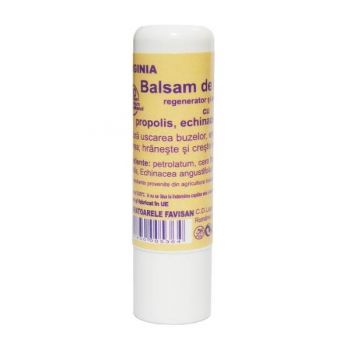 Balsam de Buze cu Propolis Virginia Favisan, 5ml la reducere