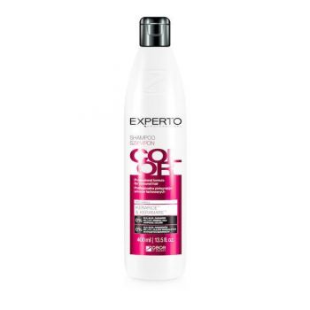 Sampon mentinerea culorii si hidratare Experto Professional 400 ml-cod 1210.