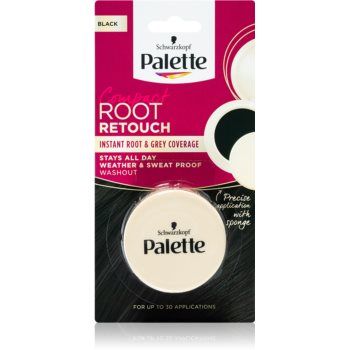 Schwarzkopf Palette Compact Root Retouch corector pentru acoperirea firelor carunte de par cu efect de pulbere