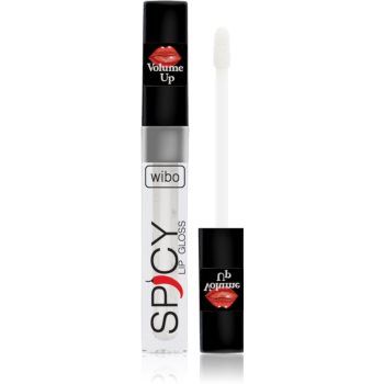 Wibo Lip Gloss Spicy luciu de buze pentru un volum suplimentar