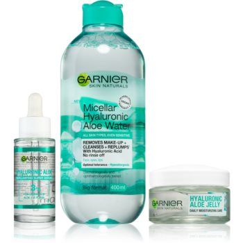 Garnier Hyaluronic Aloe îngrijire hidratantă pentru ten (ambalaj economic)