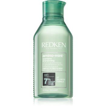 Redken Amino Mint sampon de curatare delicat pentru par gras