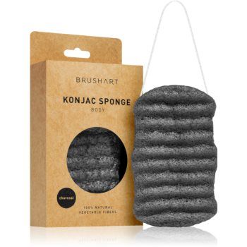 BrushArt Home Salon Konjac sponge burete exfoliant blând pentru corp de firma original