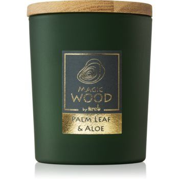 Krab Magic Wood Palm Leaf & Aloe lumânare parfumată
