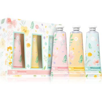 Accentra Blossom set cadou Hibiscus & Coconut (de maini)