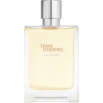 HERMÈS Terre d’Hermès Eau Givrée Eau de Parfum pentru bărbați