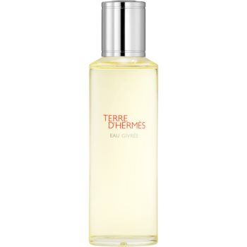 HERMÈS Terre d’Hermès Eau Givrée Eau de Parfum rezervă pentru bărbați