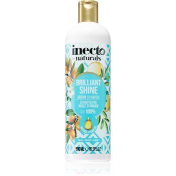 Inecto Argan șampon pentru un par stralucitor si catifelat
