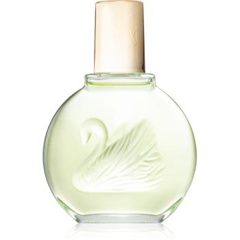 Gloria Vanderbilt Jardin a New York Eau de Parfum pentru femei