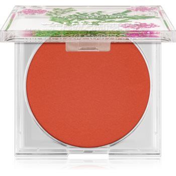 XX by Revolution BOTANICAL WALLFLOWER blush mat cremos