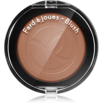 Yves Rocher Blush fard de obraz sub forma de pudra