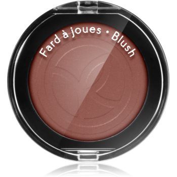 Yves Rocher Blush fard de obraz sub forma de pudra