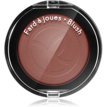 Yves Rocher Blush fard de obraz sub forma de pudra ieftin