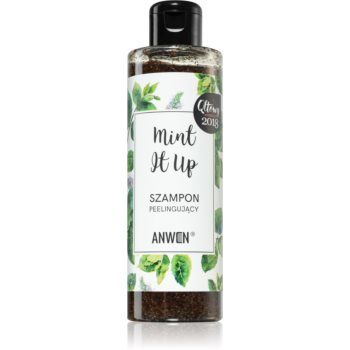 Anwen Mint It Up șampon exfoliant