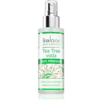 Saloos Floral Water Tea Tree loțiune calmantă