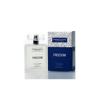 Apa de parfum pentru barbati Freedom 100 ml