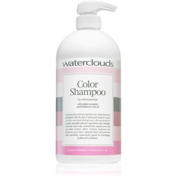 Waterclouds Color Shampoo sampon pentru protectia culorii la reducere