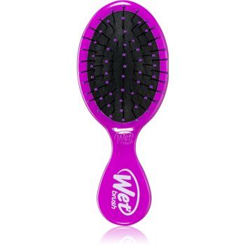 Wet Brush Mini perie de par calatorii ieftina