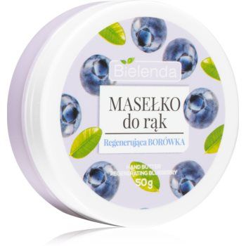Bielenda Blueberry unt de maini