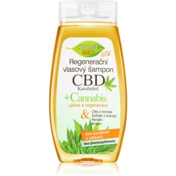 Bione Cosmetics Cannabis CBD sampon pentru regenerare cu CBD