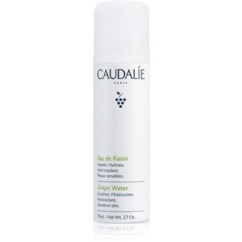 Caudalie Cleaners & Toners spray pe baza de apa pentru reimprospatare