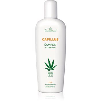 Cannaderm Capillus Caffeine shampoo șampon cu ulei de canepa