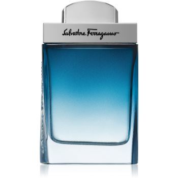 Salvatore Ferragamo Subtil Pour Homme Eau de Toilette pentru bărbați