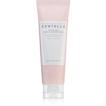 SKIN1004 Madagascar Centella Poremizing Deep Cleansing Foam Spuma curatare intensa. pentru netezirea pielii si inchiderea porilor