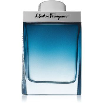 Salvatore Ferragamo Subtil Pour Homme Eau de Toilette pentru bărbați