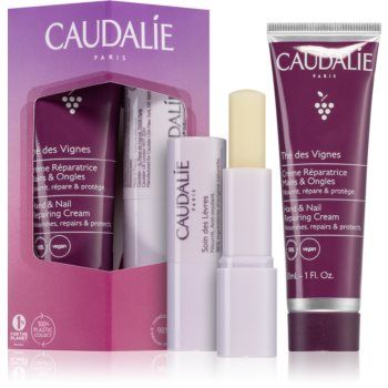 Caudalie Thé Des Vignes set cadou II.(nutritie si hidratare) ieftin