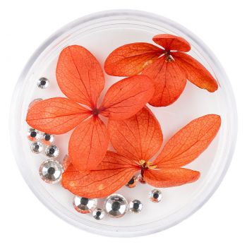 Flori Uscate Unghii LUXORISE cu cristale - Floral Fairytale #20 la reducere