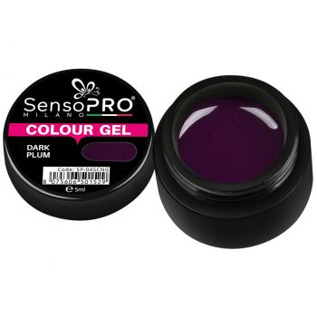 Gel UV Colorat Dark Plum 5ml, SensoPRO Milano de firma original