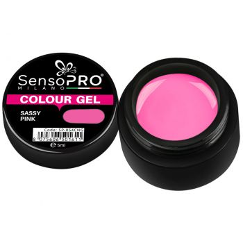 Gel UV Colorat Sassy Pink 5ml, SensoPRO Milano ieftin