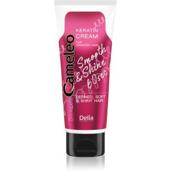Delia Cosmetics Cameleo Smooth & Shine 60 sec crema de par pentru un par stralucitor si catifelat ieftina
