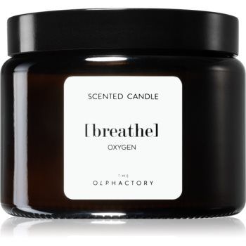 Ambientair Olphactory Oxygen lumânare parfumată (brown) Breathe