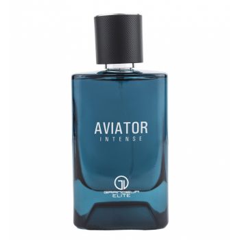 Parfum Grandeur Elite Aviator Intense, apa de parfum 100 ml, barbati