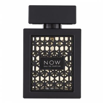 Rave Now, apa de parfum 100 ml, barbati - inspirat din Bleu De Chanel