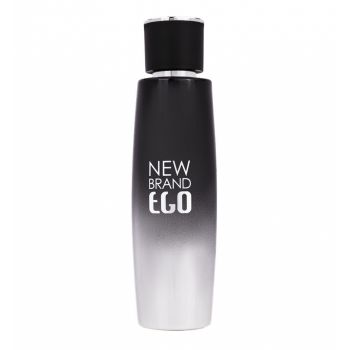 Parfum Ego Silver, apa de toaleta 100 ml, barbati de firma original