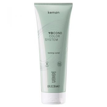 Kemon YoCond Color System - Balsam nuantator Silver 250ml ieftin