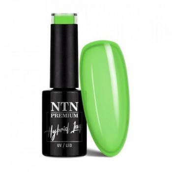 Oja semipermanenta Ntn Premium Delight Sorbet Collection 146, 5 g