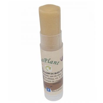 Balsam de buze hidratant Chocolate LaPlant, 6 ml