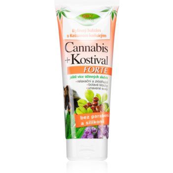 Bione Cosmetics Cannabis Kostival Forte lotiune pe baza de plante pentru mușchi, articulații și tendoane