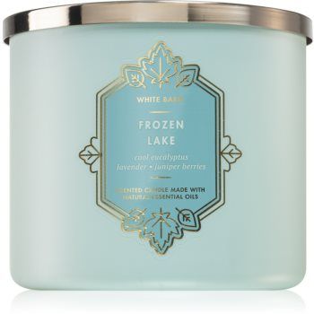 Bath & Body Works Frozen Lake lumânare parfumată