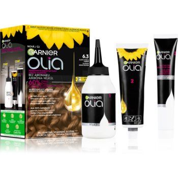 Garnier Olia Big Kit Culoare permanenta pentru par la reducere