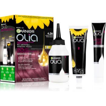 Garnier Olia Big Kit Culoare permanenta pentru par