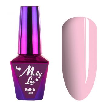 Baza 5 in 1 molly lac 10ml- rose