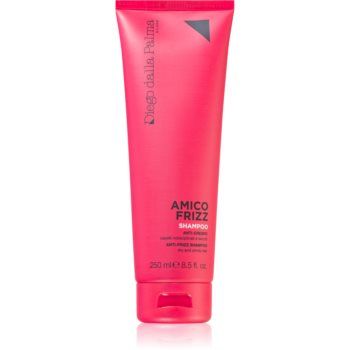 Diego dalla Palma Anti Frizz șampon anti-electrizare Diego dalla Palma Anti Frizz șampon anti-electrizare