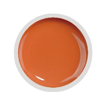 COVER COLOR GEL FSM 017 - CC-017 - Everin.ro
